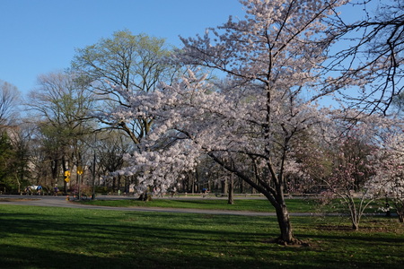 c0013687_2240185.jpg