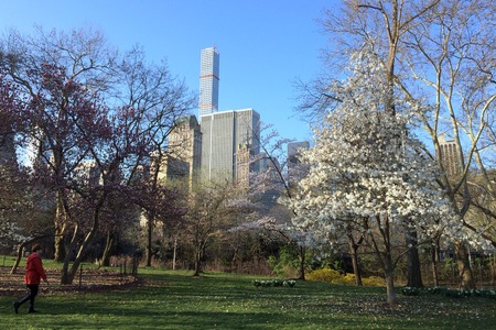 c0013687_2342615.jpg