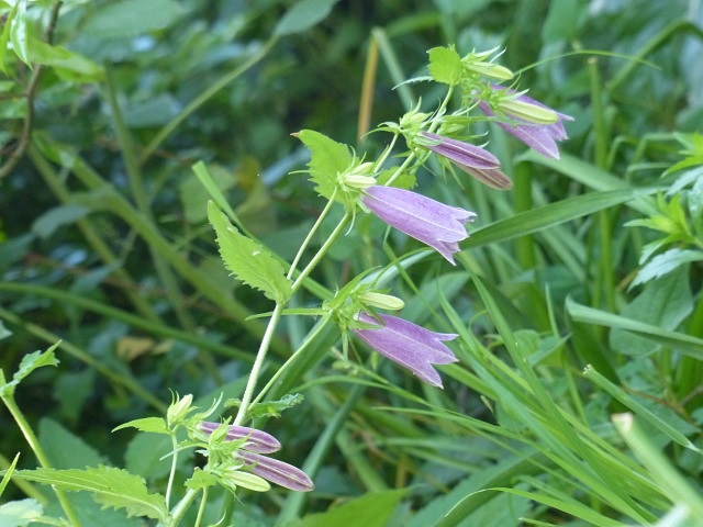 f0357487_2259794.jpg