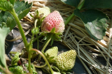 f0353990_19240104.jpg