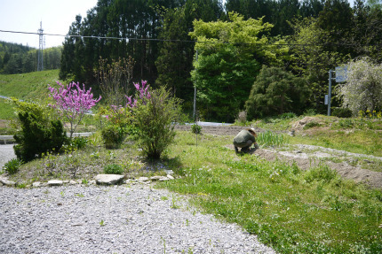 f0353990_20085907.jpg