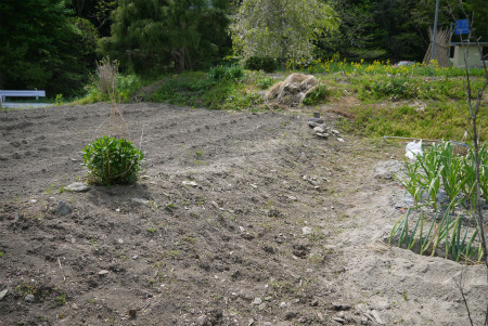 f0353990_20090645.jpg