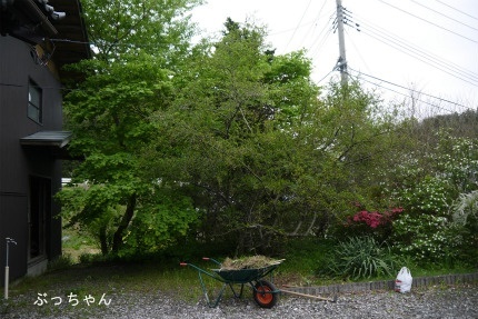 f0353990_20154918.jpg