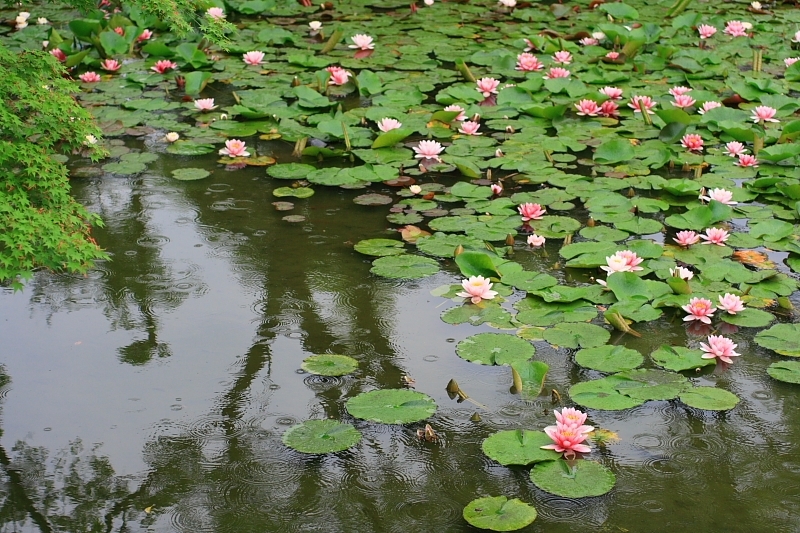f0083400_22491678.jpg