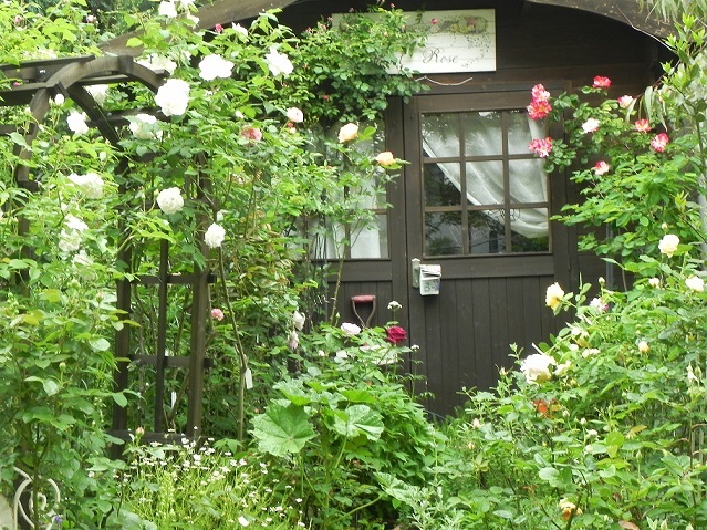 c0152002_11024366.jpg