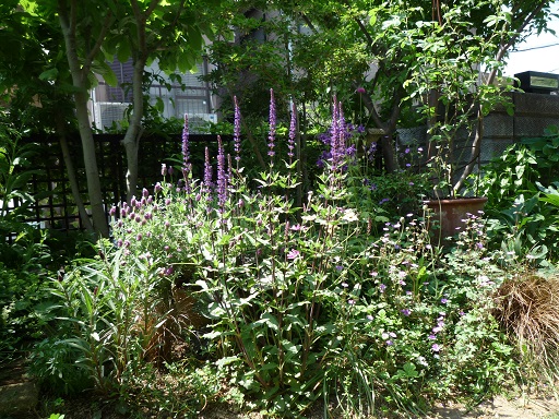 e0234004_20442881.jpg