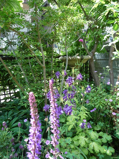 e0234004_2045155.jpg
