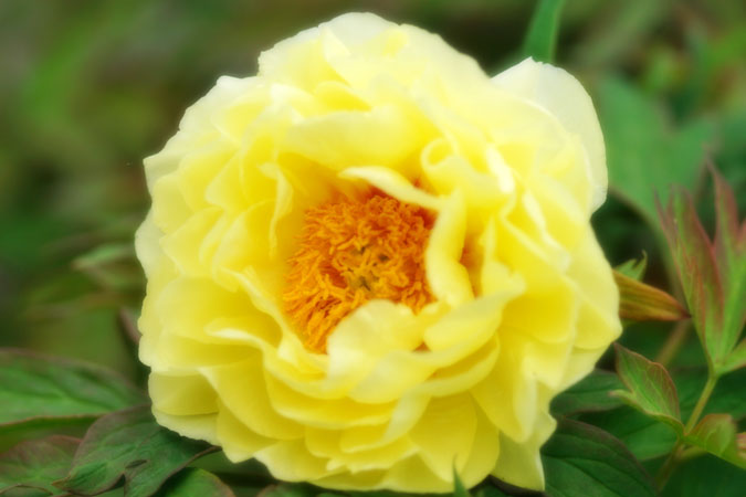 a0263109_10515556.jpg