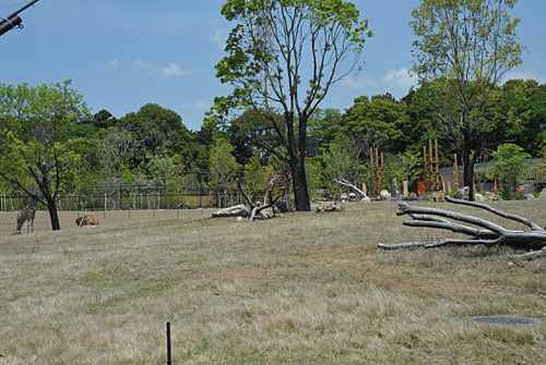 a0278809_17393134.jpg