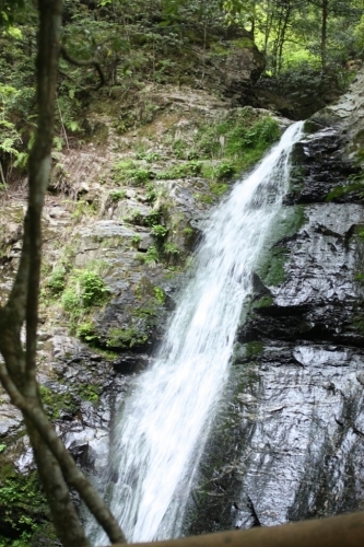 c0118809_11511250.jpg