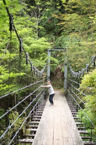 c0118809_11511535.jpg
