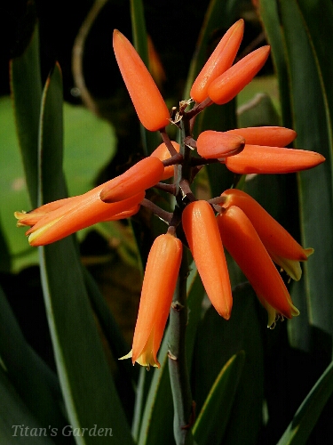b0099813_0441637.jpg