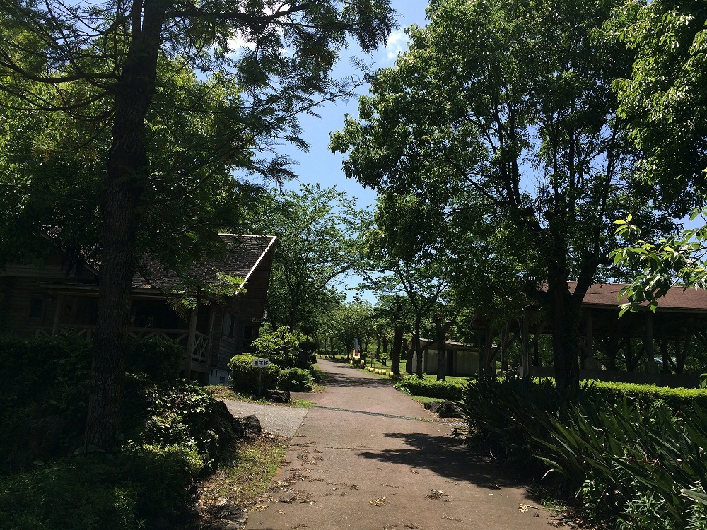 c0337813_17033586.jpg