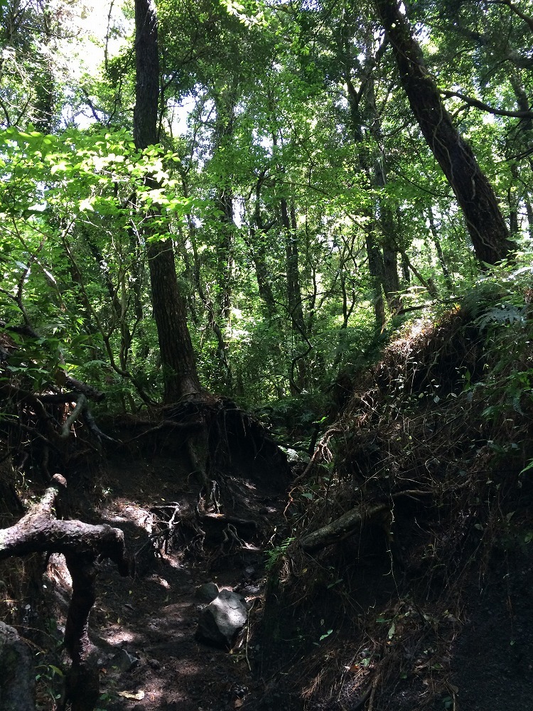 c0337813_17035281.jpg