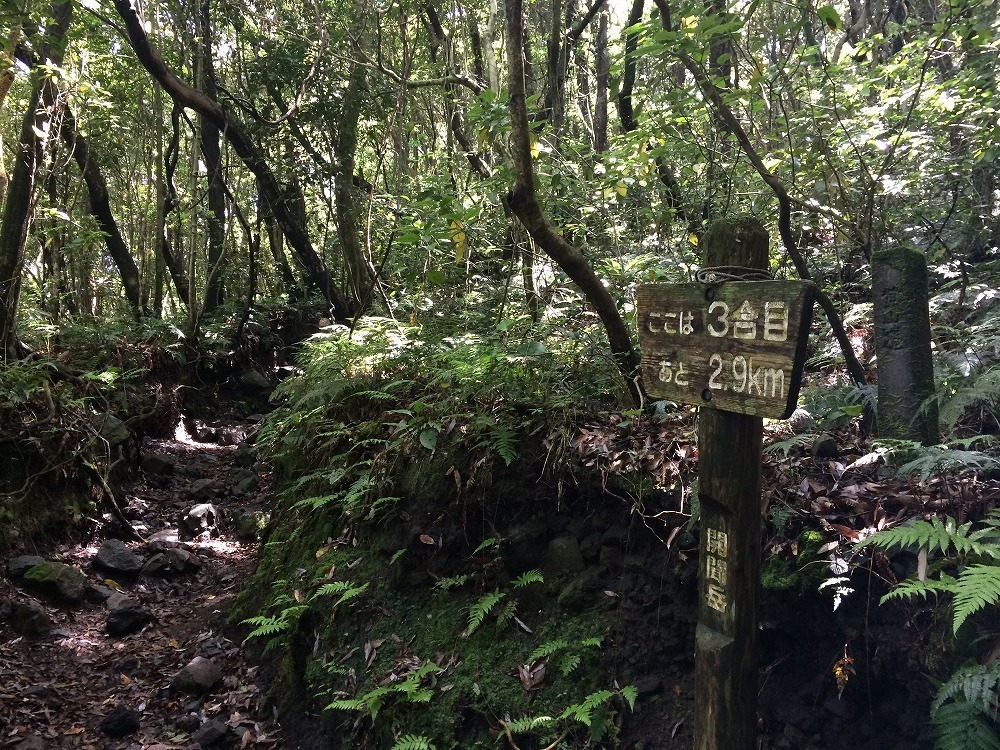 c0337813_17035698.jpg