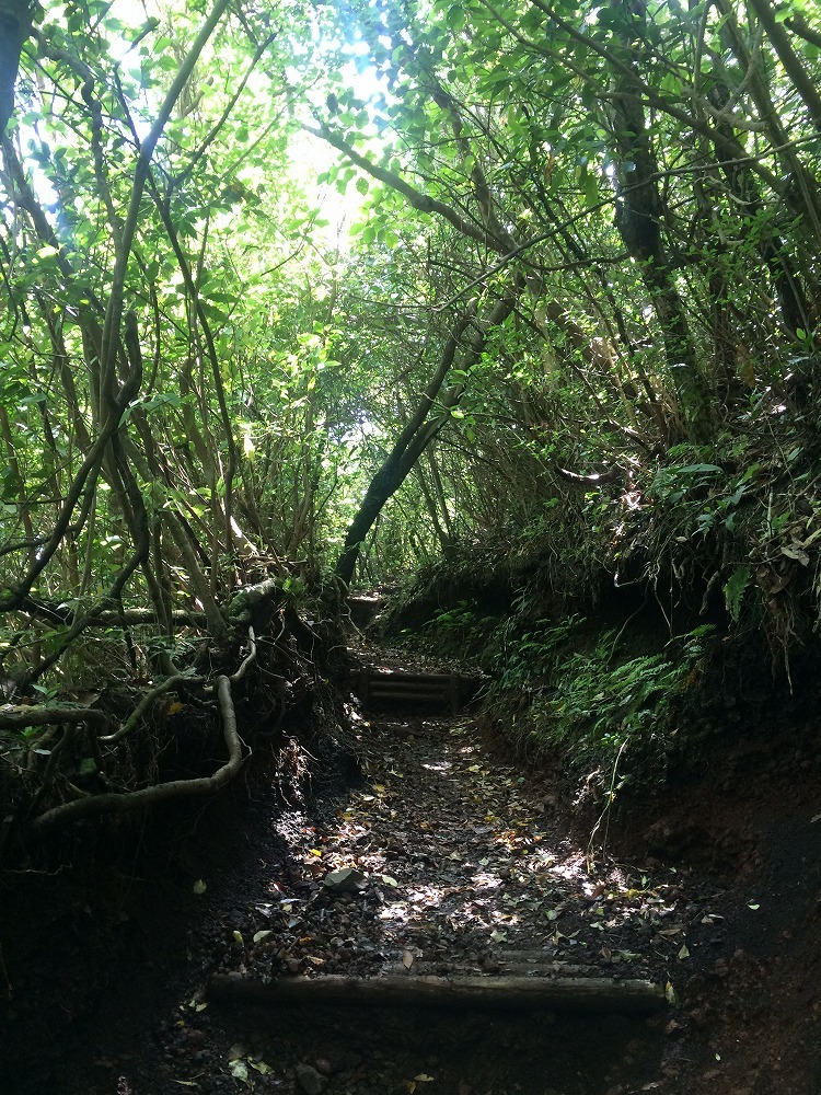 c0337813_17040762.jpg
