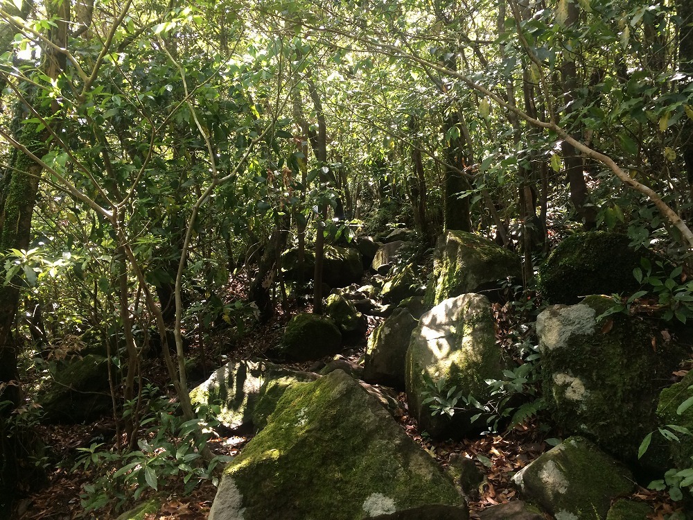 c0337813_17041120.jpg