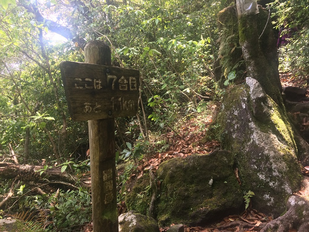 c0337813_17041645.jpg