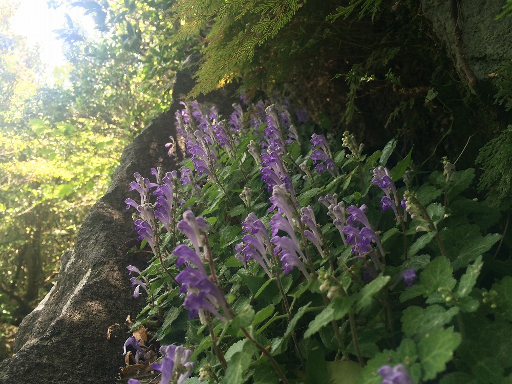 c0337813_17045163.jpg