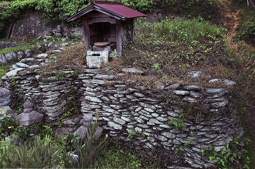 c0168815_13165081.jpg