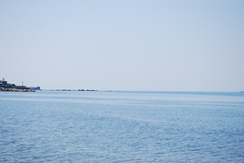 c0358326_548544.jpg