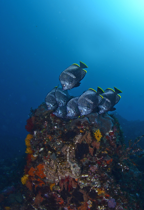d0039027_21543670.jpg
