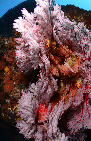 d0039027_2157976.jpg