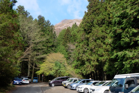 b0281732_735831.jpg