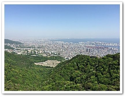d0017632_20484717.jpg