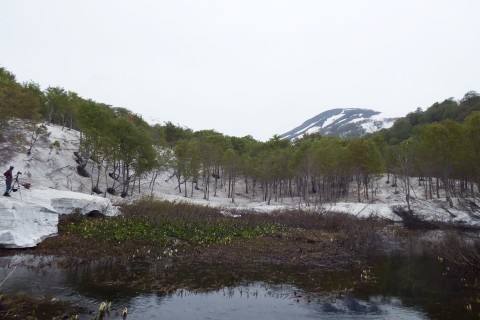 f0118332_23590547.jpg