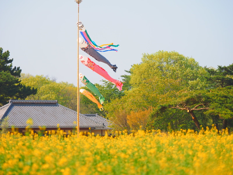 c0133533_105941.jpg