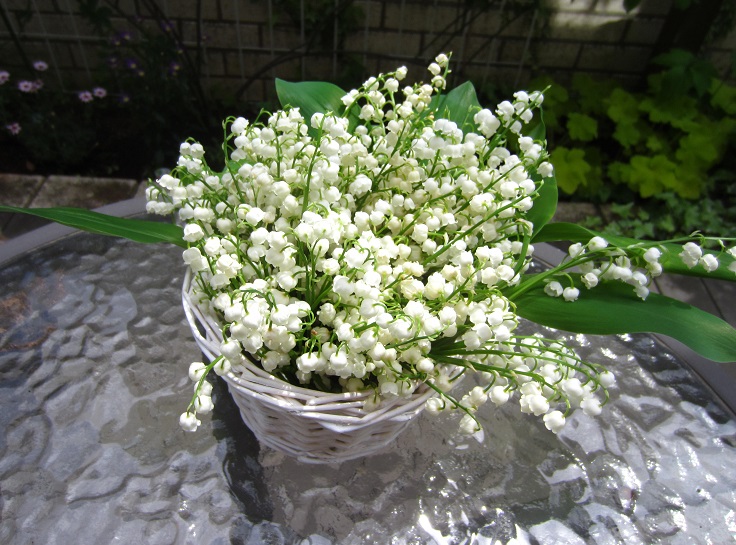 f0002833_19415967.jpg