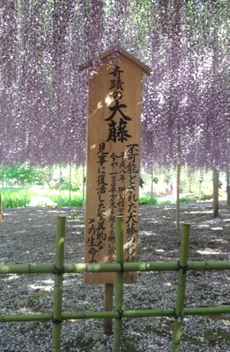 f0034334_1526111.jpg