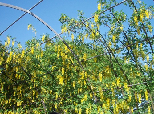 f0034334_15512826.jpg