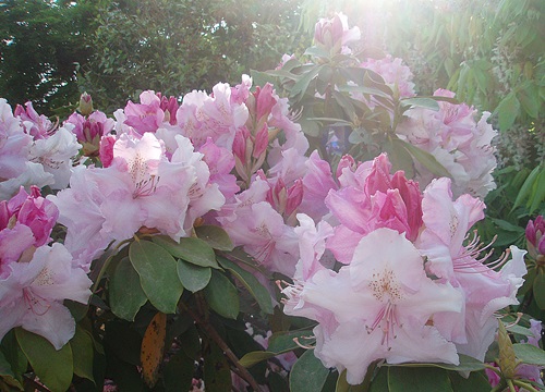 f0034334_16142723.jpg