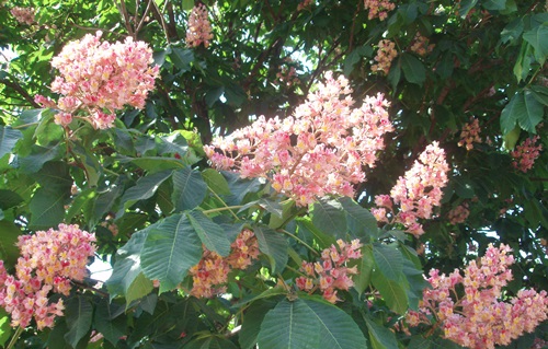 f0034334_16172471.jpg