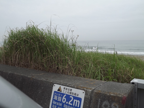 f0248337_8481842.jpg