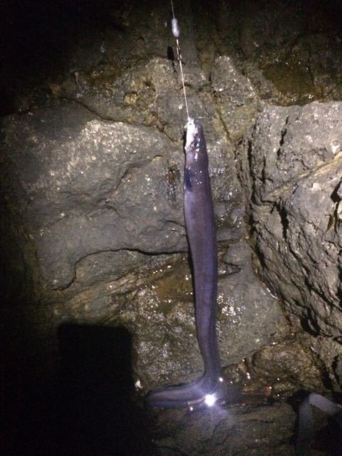 f0009238_715061.jpg