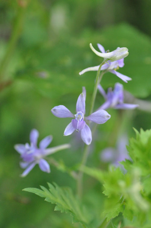 f0302638_2351735.jpg