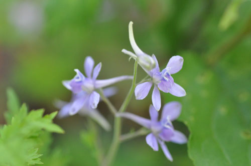 f0302638_2352541.jpg