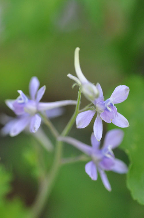 f0302638_2353211.jpg