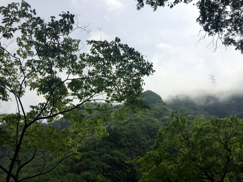b0057140_2184783.jpg