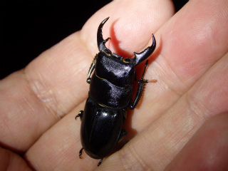 f0104042_23123567.jpg