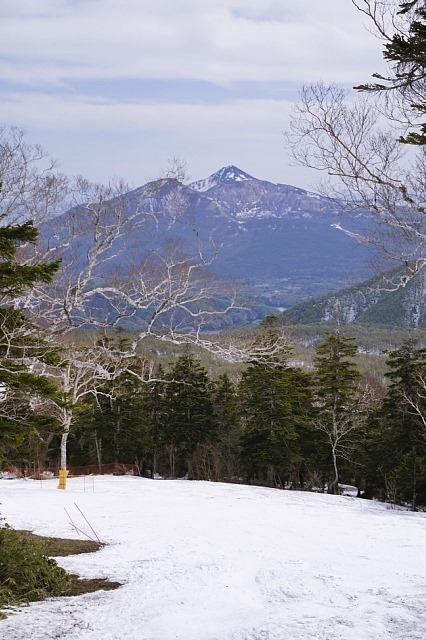 b0122448_18480230.jpg