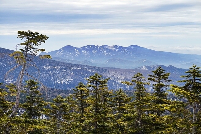 b0122448_18514515.jpg