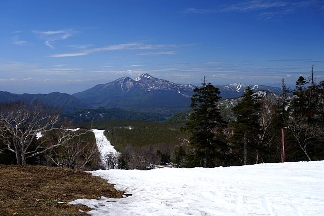b0122448_20561474.jpg