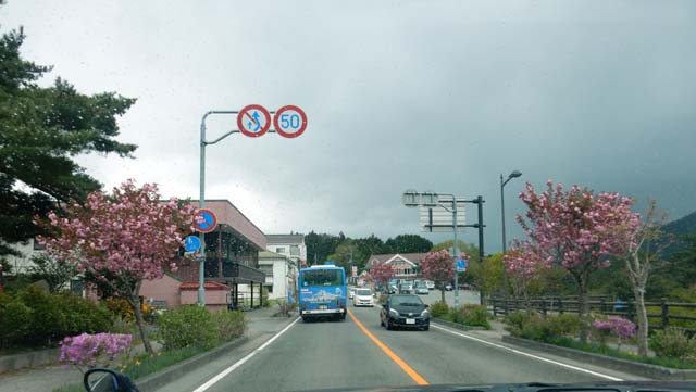 e0043548_644135.jpg