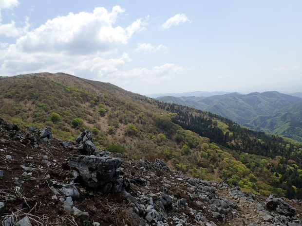 f0214649_4464025.jpg