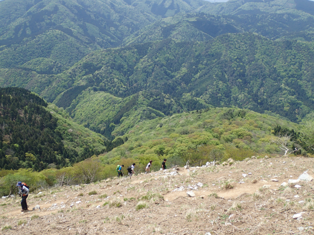 f0214649_447618.jpg
