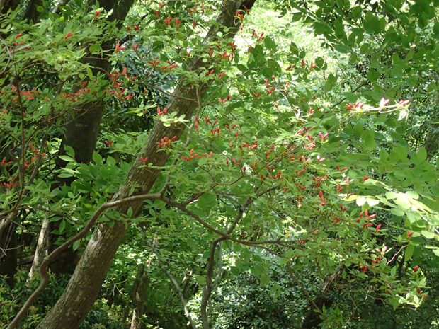 f0214649_52513.jpg